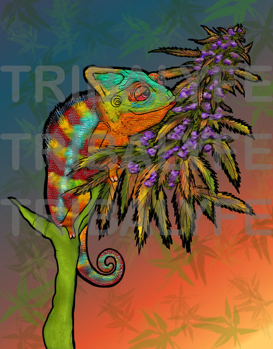 Trippy Collection: Ganja Chameleon Art Print - Fine Matte Bordered